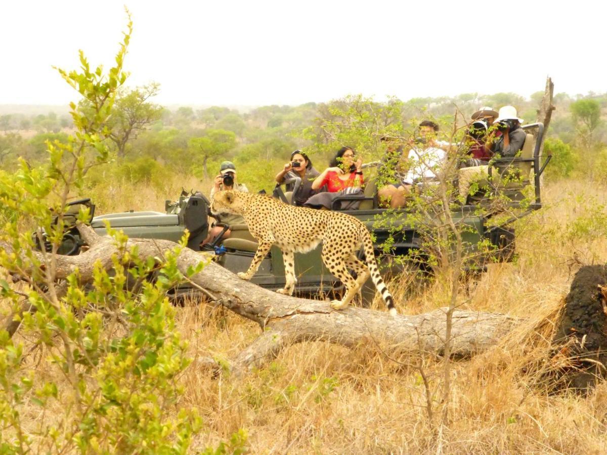 Umkumbe Safari Lodge Riverside Skukuza Extérieur photo