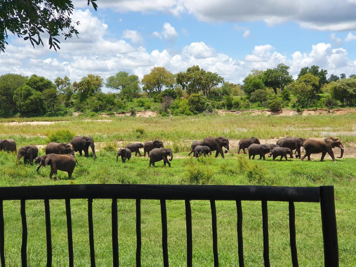 Umkumbe Safari Lodge Riverside Skukuza Extérieur photo